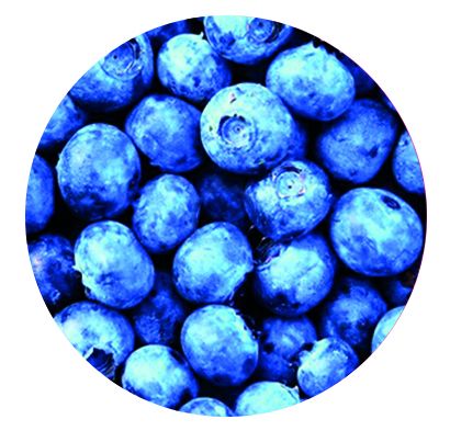 Aufkleber für FreeStyle Libre Blueberry